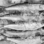 Close-up of canned sardines, highlighting their omega-3 content and cardiovascular health benefits.