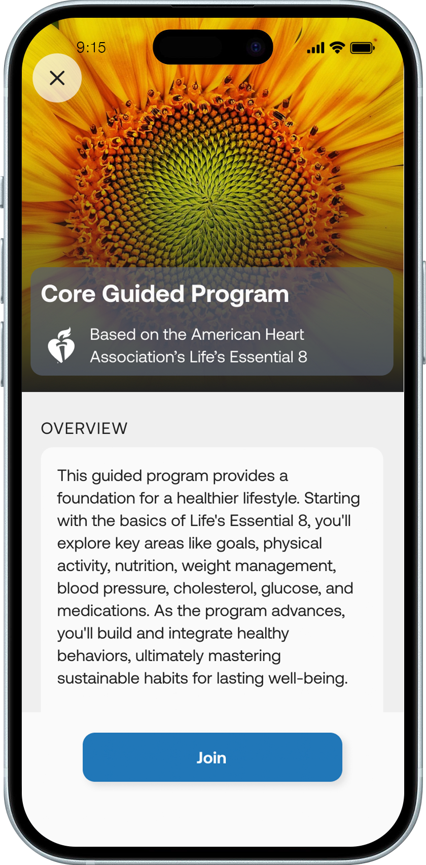 Core Guided Programs