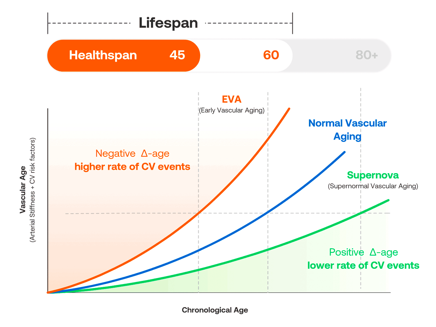 Wellness & Longevity Providers