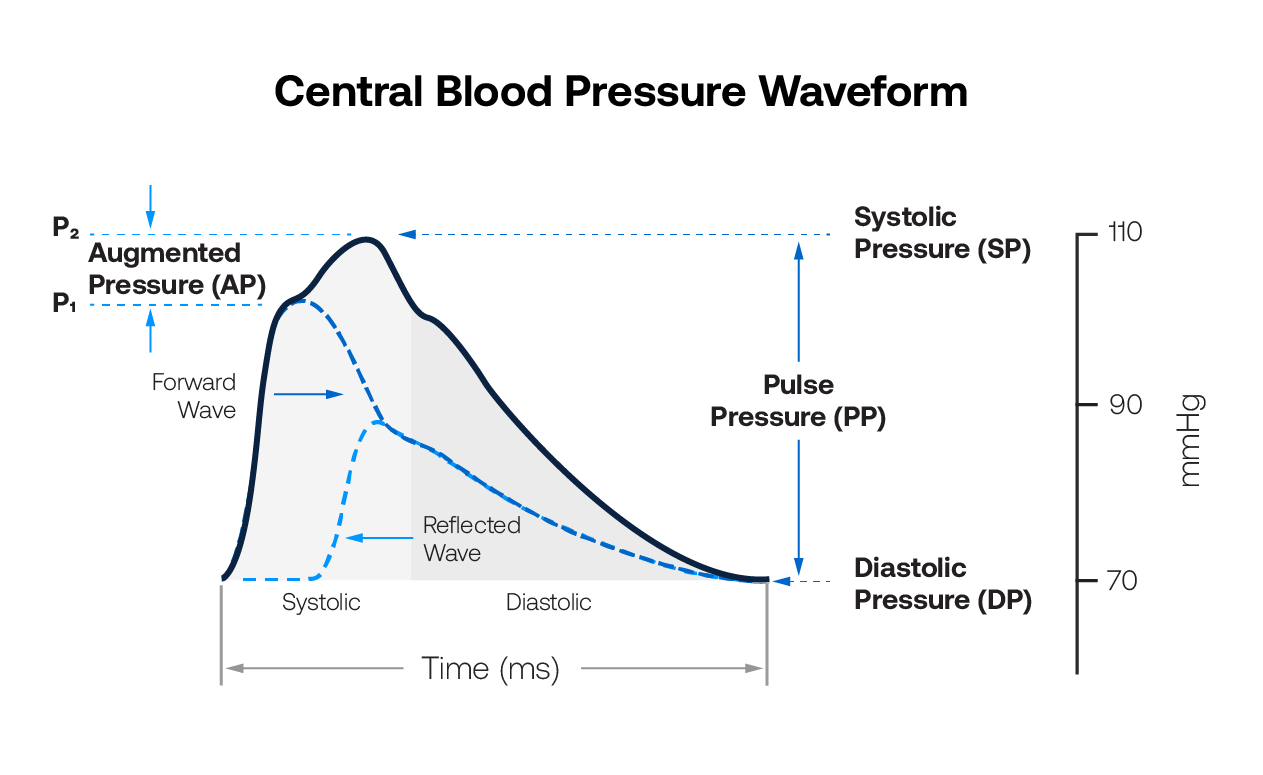 Central Blood Pressure Waveform